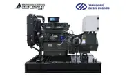 Дизельная электростанция 30 кВт Yangdong АД-30С-Т400-2РМ55