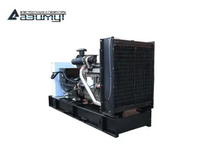 TSS АД-300С-Т400-1РМ11