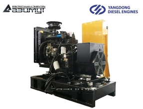 Однофазный ДГУ 8 кВт Yangdong АД-8С-230-1РМ55